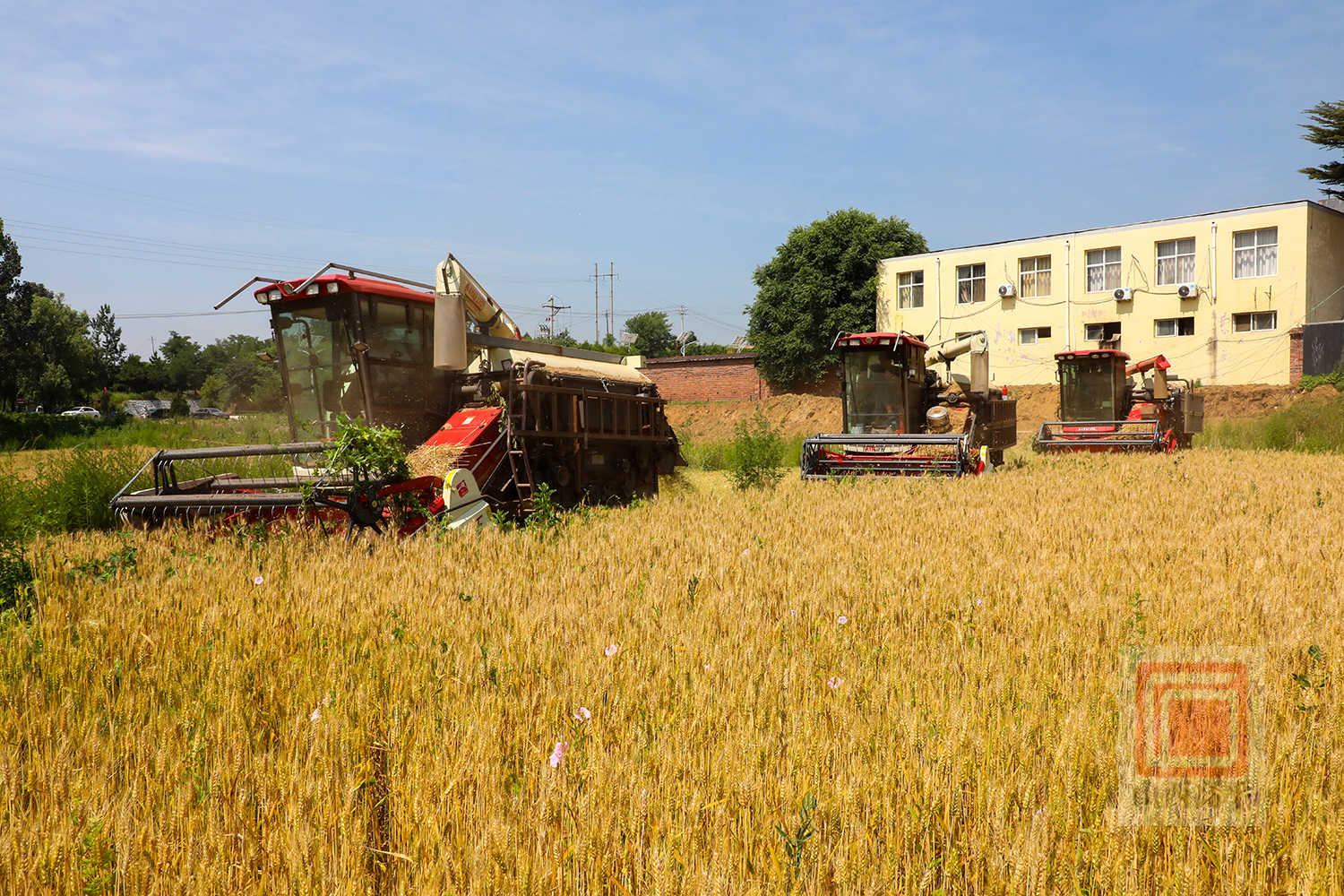 069A1058.jpg