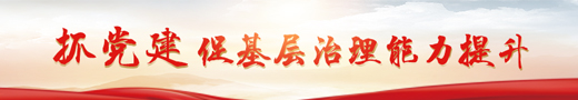 抓党建促基层治理能力提升专栏