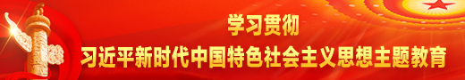 学习贯彻习近平新时代中国特色社会主义思想主题教育