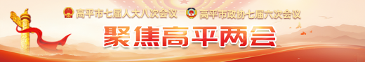 高平两会