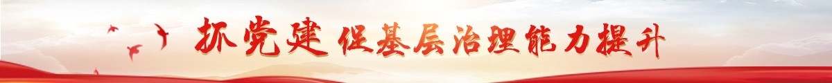 抓党建促基层治理能力提升20220422