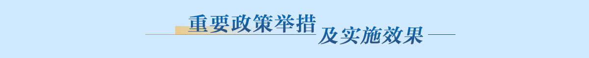 重要政策举措及实施效果