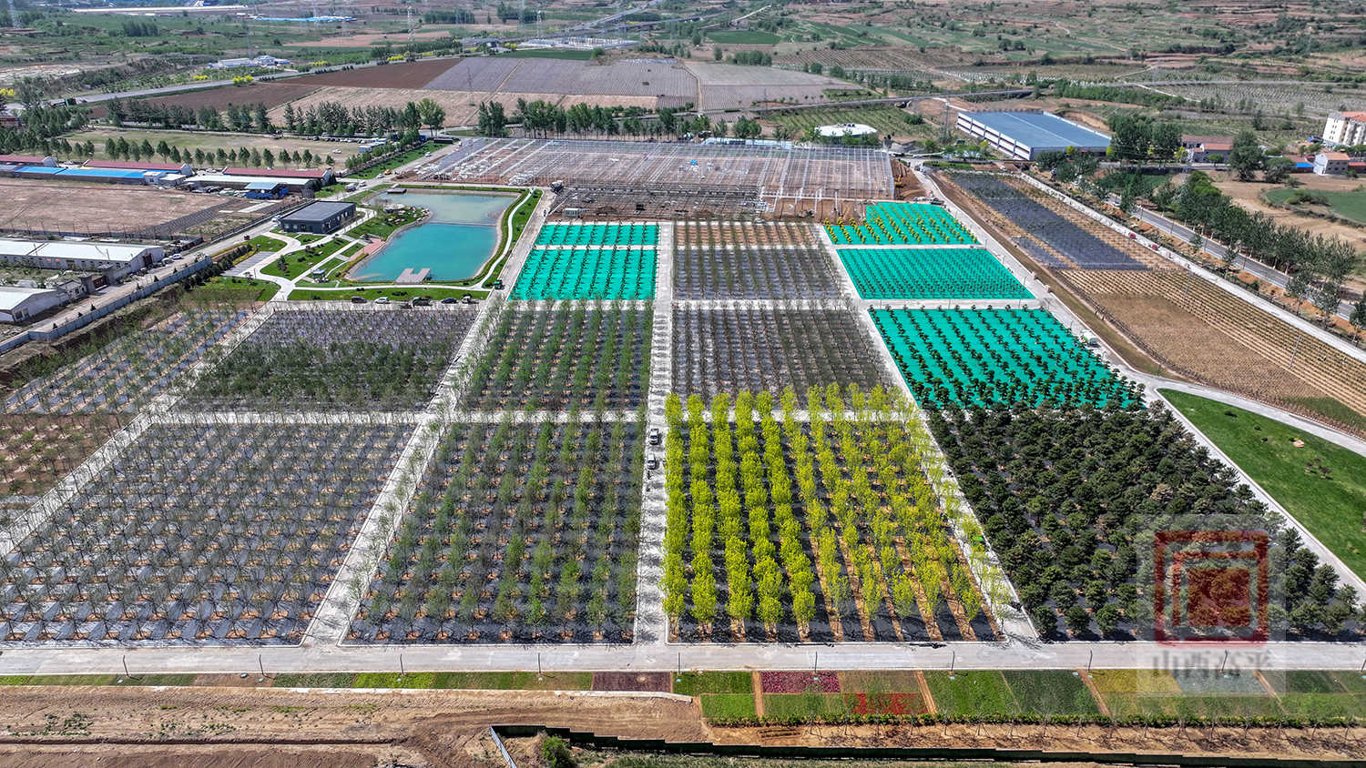 我市太行花苗木花卉基地项目进入冲刺阶段 预计6月底投入运营