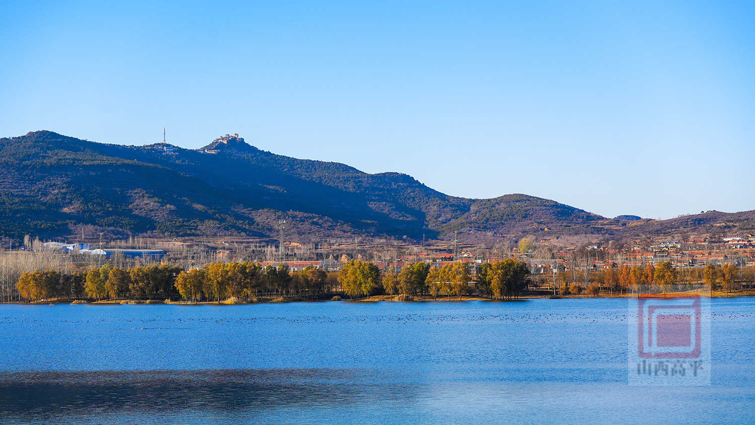 生态向好引“客”来 候鸟蹁跹惹人醉