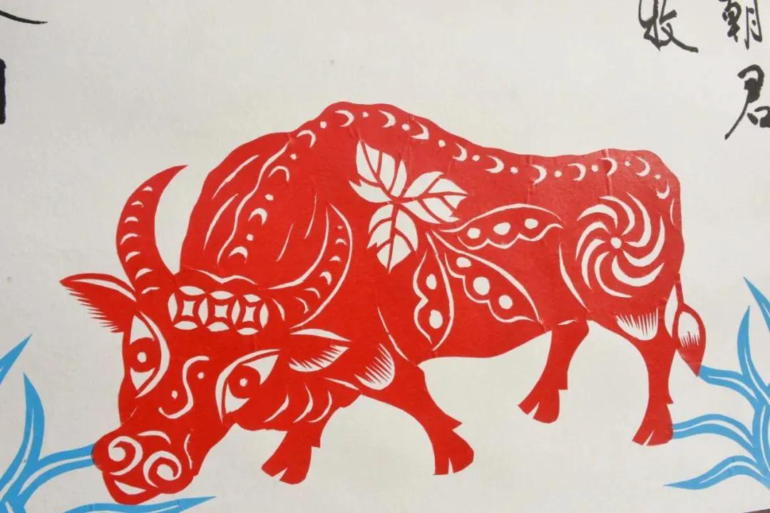 剪纸艺人巧手剪"九牛"喜迎新春