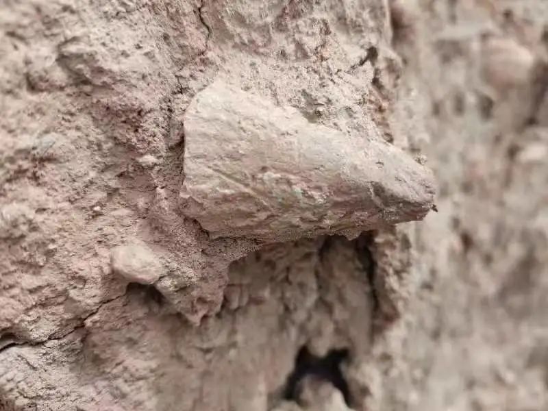  高平伯方村发现旧石器至春秋战国文化遗址