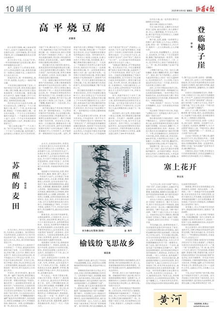 高平烧豆腐