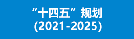 “十四五”规划