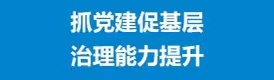 抓党建促基层治理能力提升