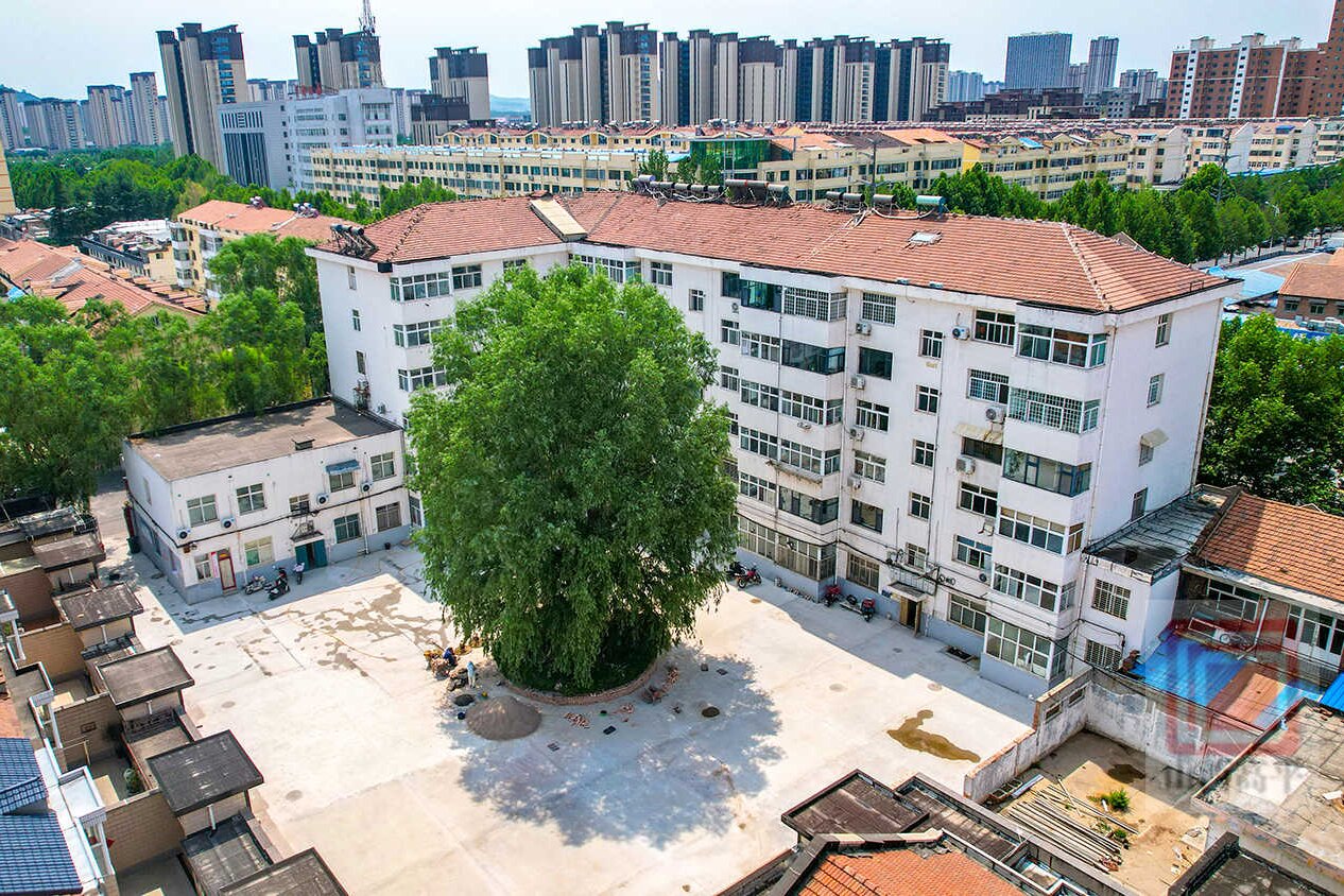  【实事办好 好事办实】今年我市加快推进55个老旧小区改造