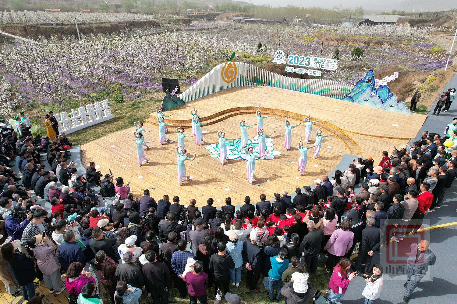 相约梨花节 雅俗共赏来陈区铁炉贡梨梨园沉浸式游园
