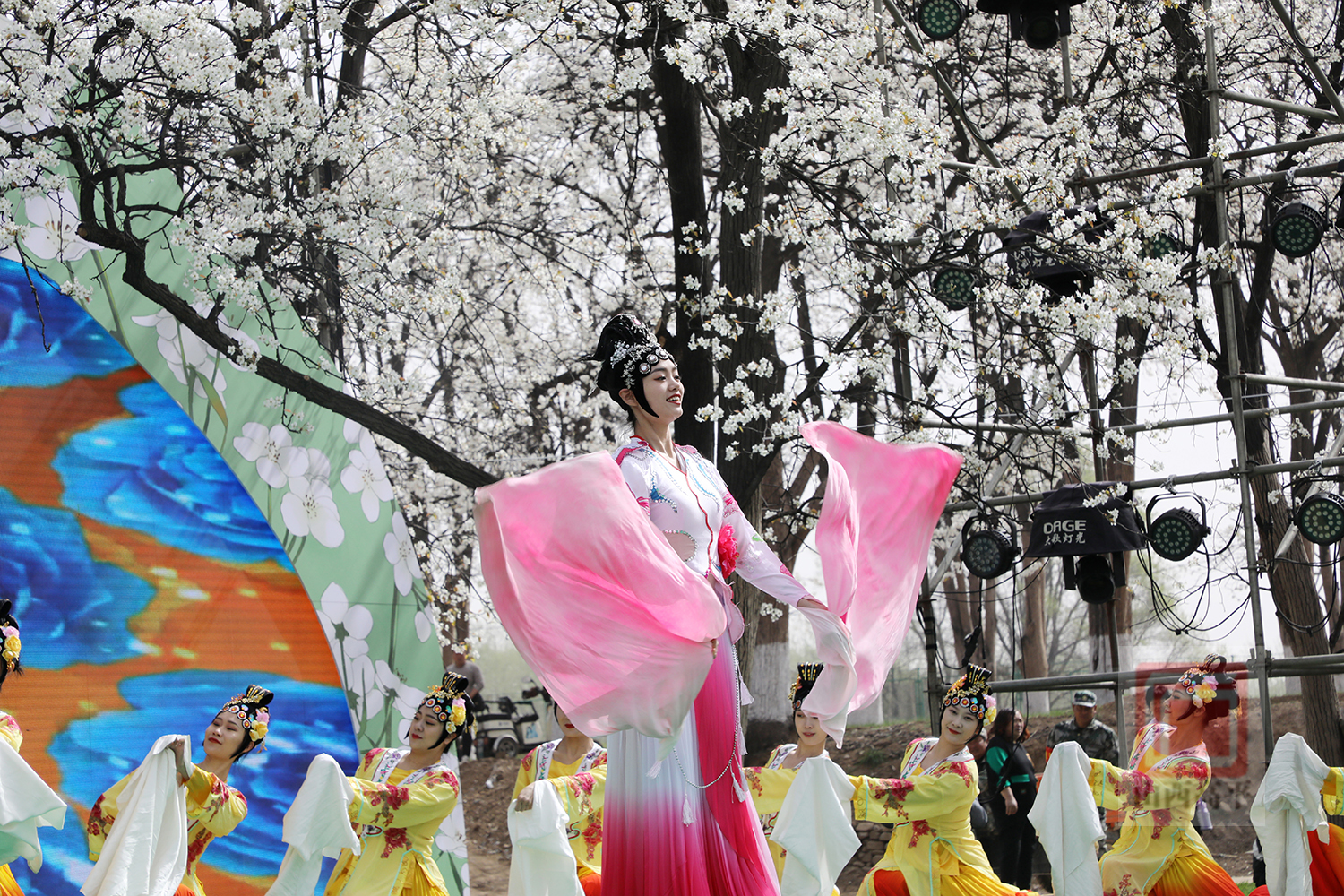 “梨花深处是我家” 来寺庄釜山邂逅一场梨园盛宴