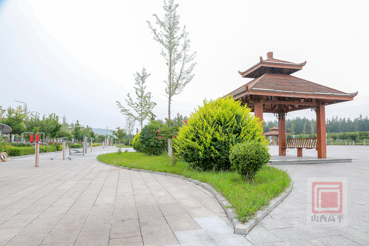 南城街街道北陈村村美人和新图景乡村振兴有奔头