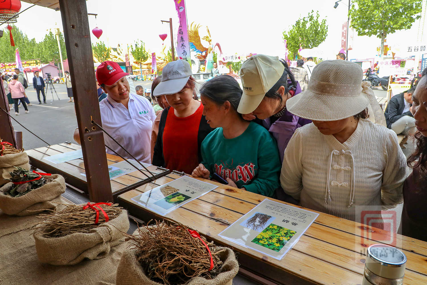 我市神农中医药康养基地中医药文化节开幕_高平市人民政府网