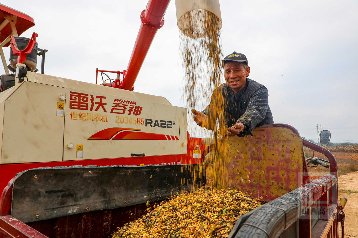 战阴雨、抢农时 大豆机收作业加快推进