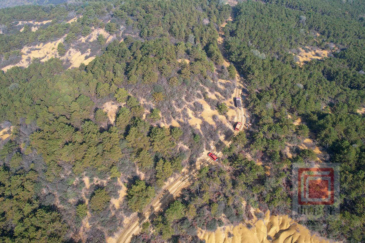 我市扎实推进4000亩森林抚育工作