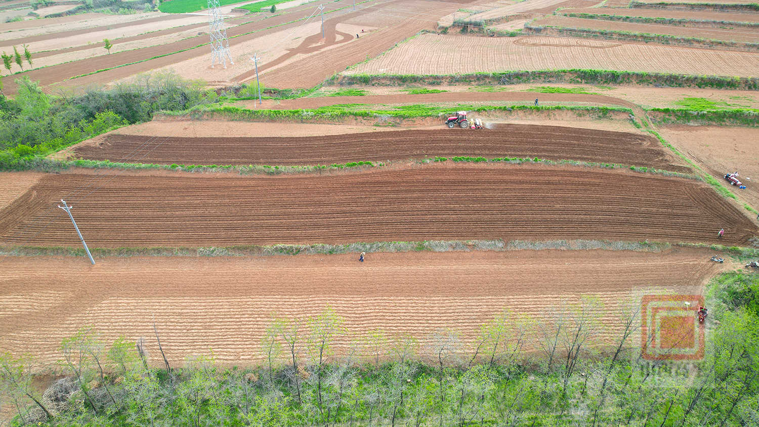 马村镇：抢抓农时 玉米播种忙