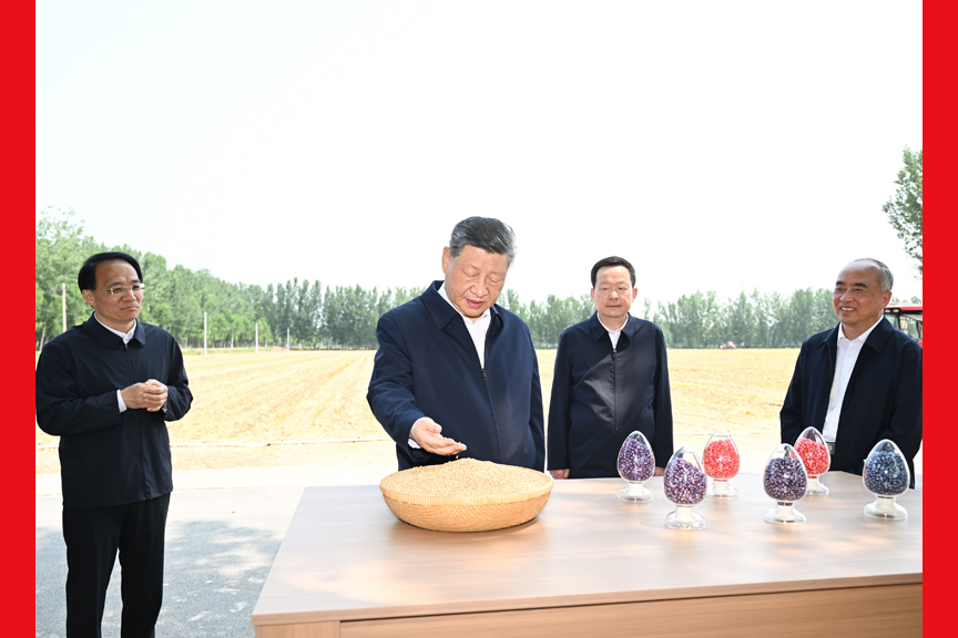 习近平在山东德州考察时强调 以扎实举措推进农业农村现代化 用勤劳和智慧创造更加美好生活