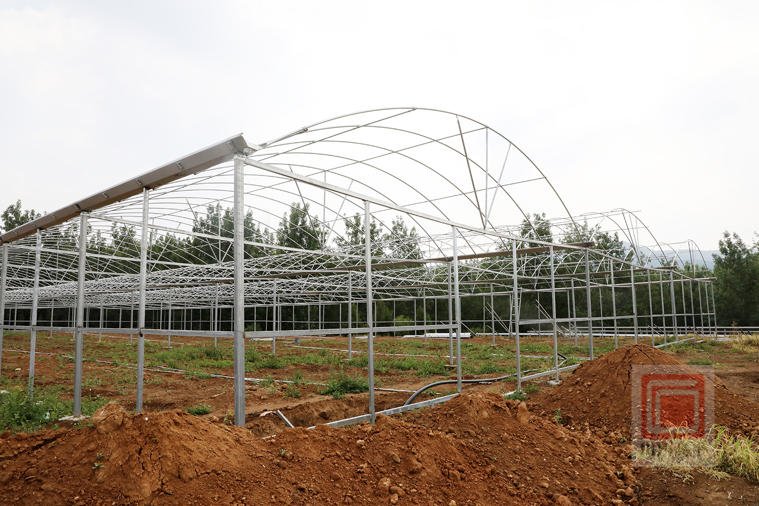 沟北村建设特色果蔬大棚赋能乡村振兴