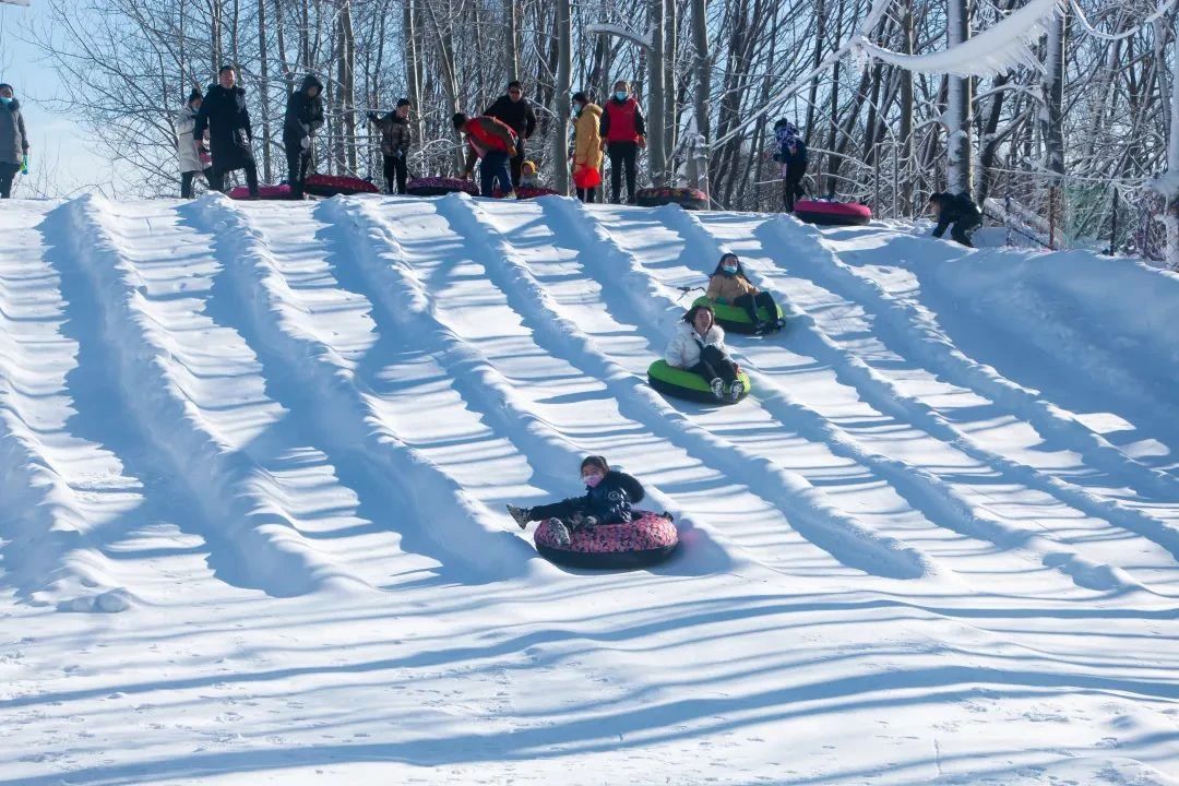 无冰雪,不冬天～快来卧龙湾撒欢玩雪啦!_高平市人民政府网