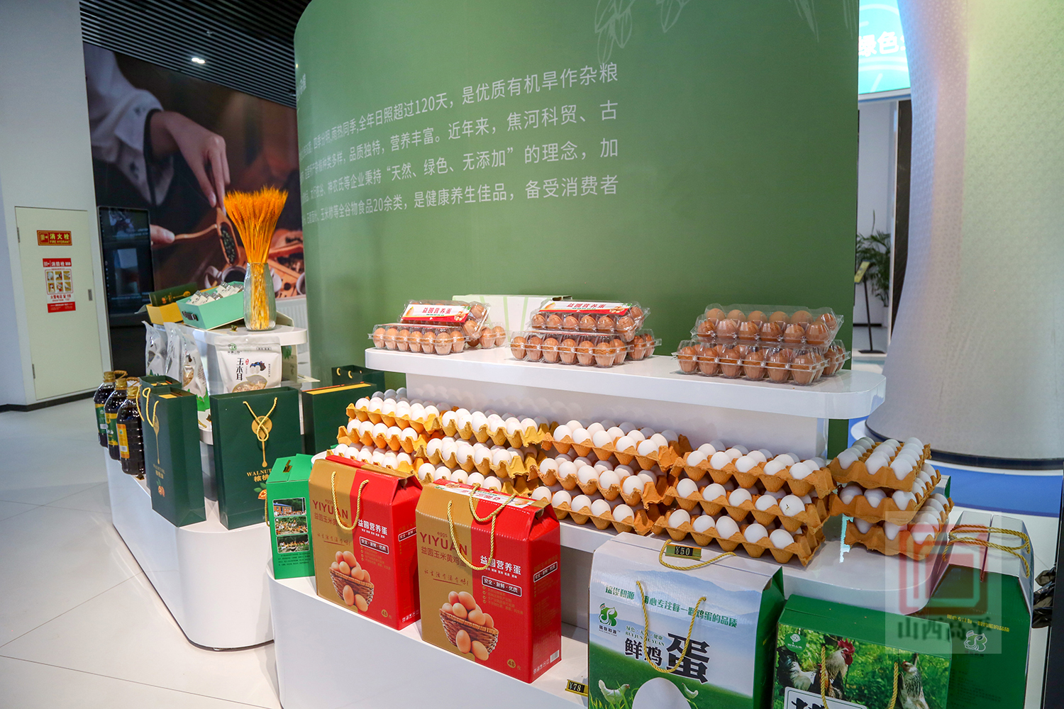 乡村e镇农产品展销燃情启幕 迎来台胞打卡