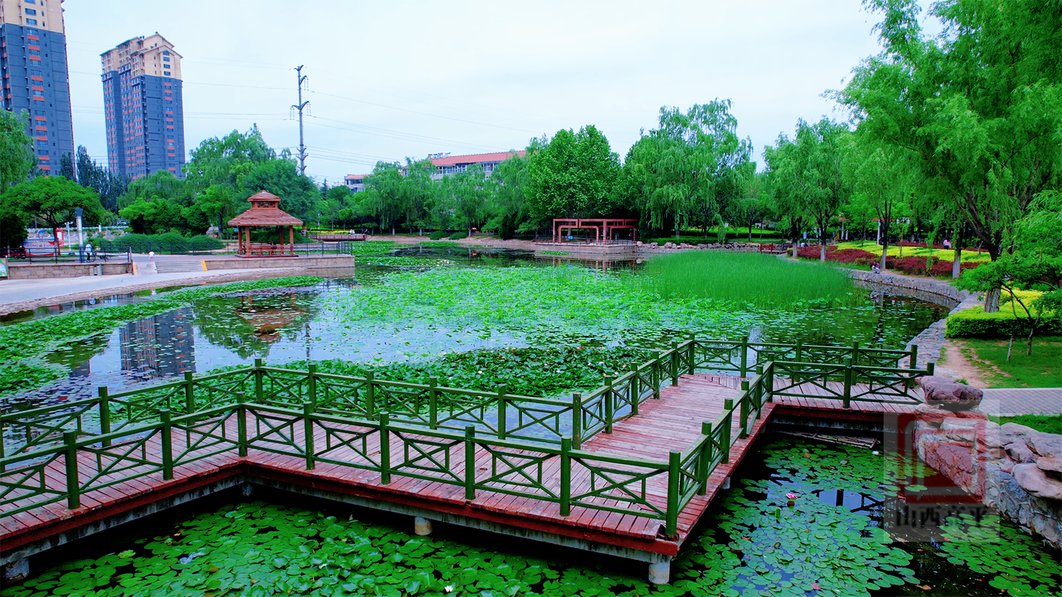 微信图片_20260529180314_53_11.png