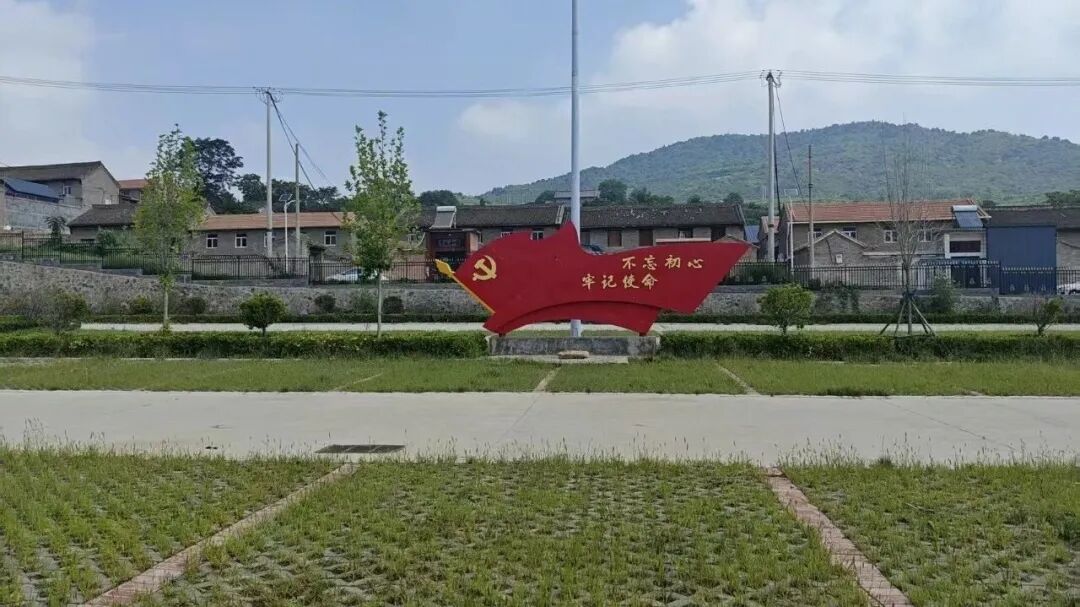 41.jpg