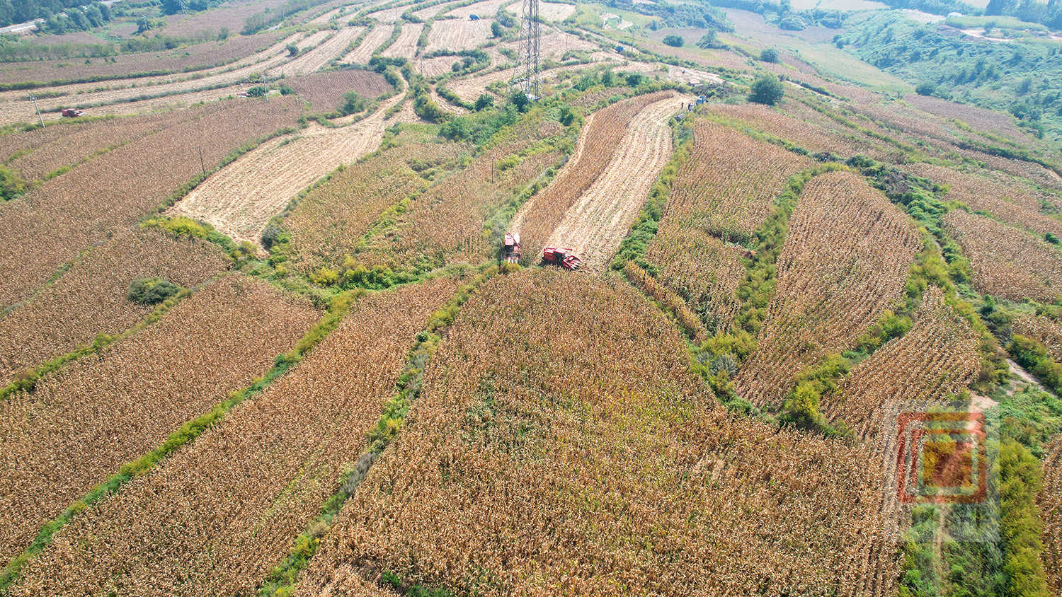 DJI_0264.jpg