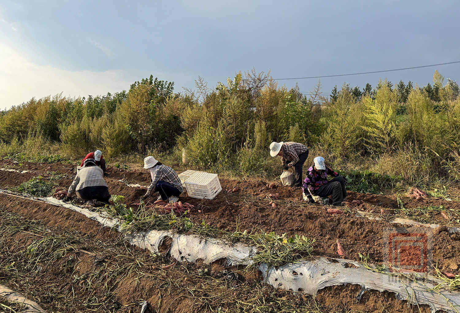 微信图片_20260914173635_121_2.jpg