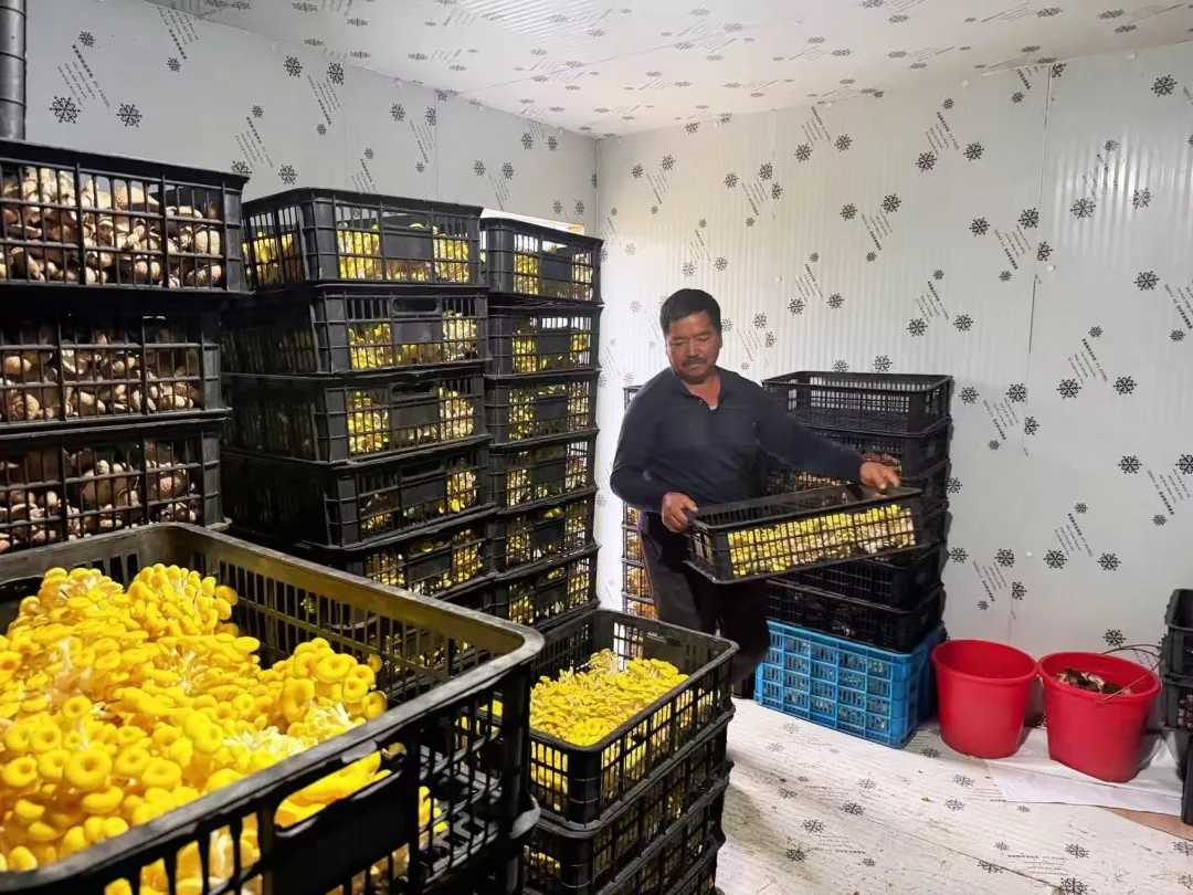 微信图片_20261013171548_281_42.png