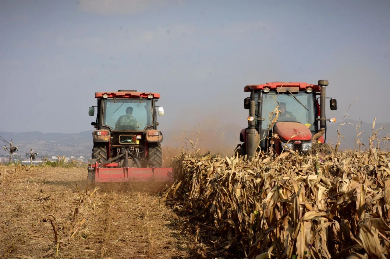 南城街街道秸秆还田还出天蓝地肥好生态