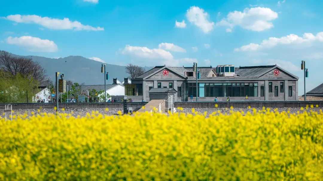 “共促医养融合 共享健康未来”——首个中医治疗康养基地在高平釜山成立 中国式瑞珀妮即将诞生_高平市人民政府网
